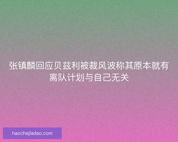 张镇麟回应贝兹利被裁风波称其原本就有离队计划与自己无关