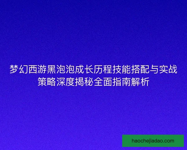 梦幻西游黑泡泡成长历程技能搭配与实战策略深度揭秘全面指南解析